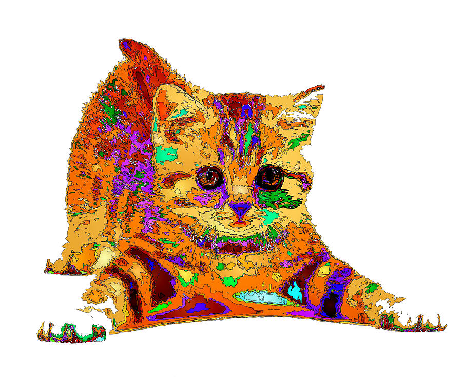 Jelly Bean the Kitty. Pet Series Digital Art by Rafael Salazar
