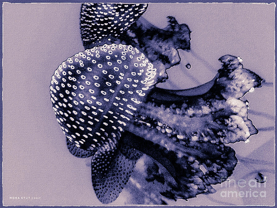 Jelly Fish Cnidarian Quallen Purple Digital Art by Mona Stut