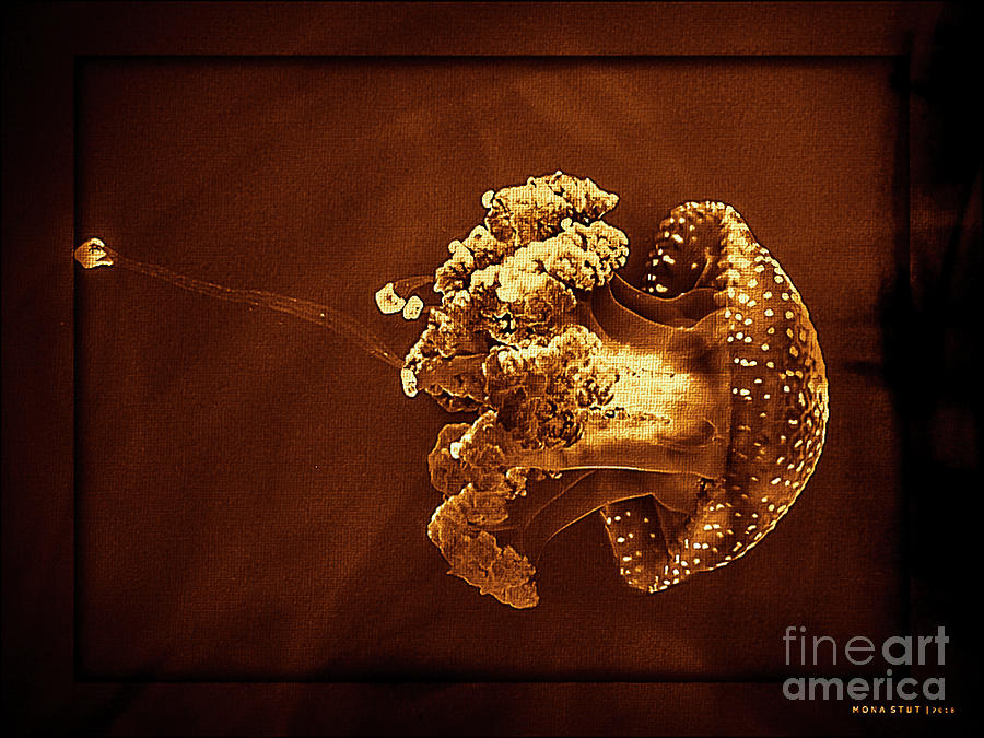 Jellyfish Cnidarian Quallen Brown Digital Art by Mona Stut