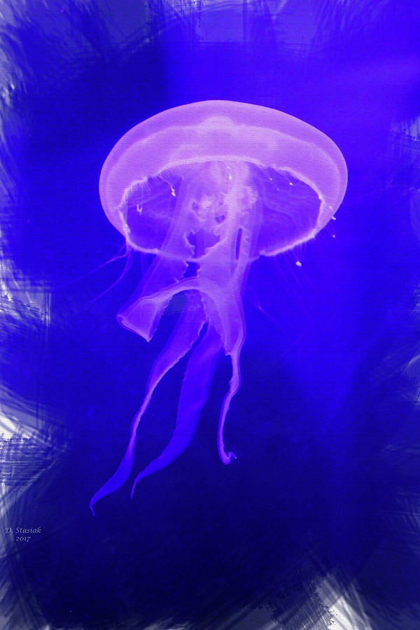 Jellyfish  Digital Art by David Stasiak