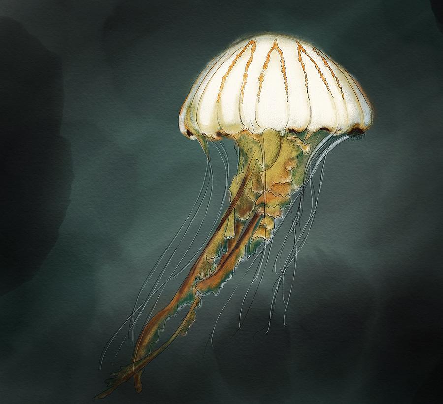 Jellyfish  Digital Art by Erin Salazar