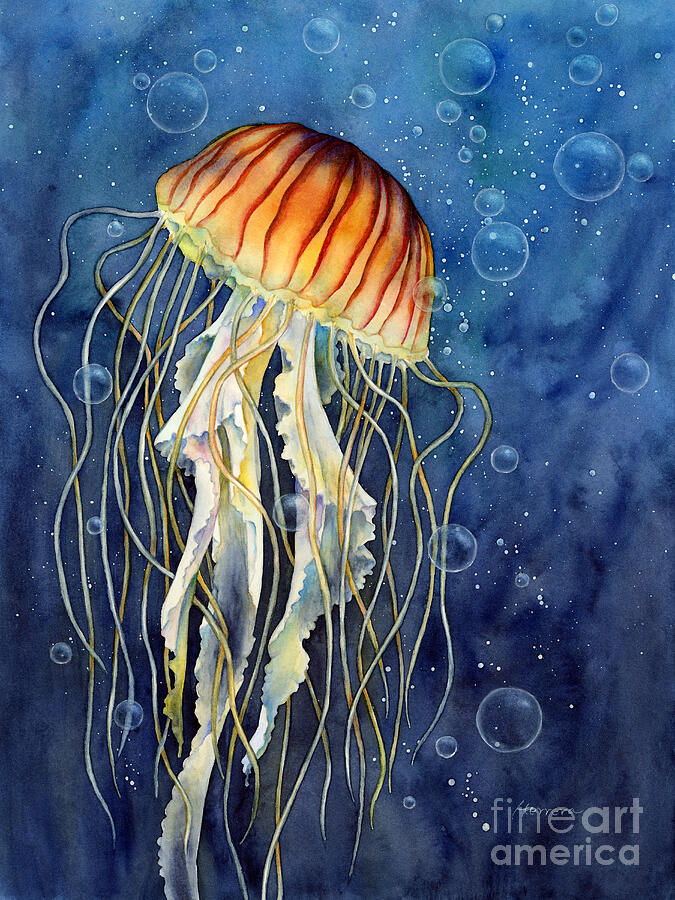 Jellyfish Painting - Jellyfish by Hailey E Herrera