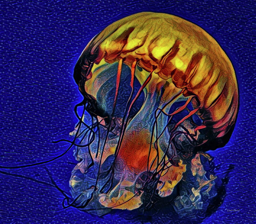 Jellyfish In La Jolla Mixed Media by Russ Harris