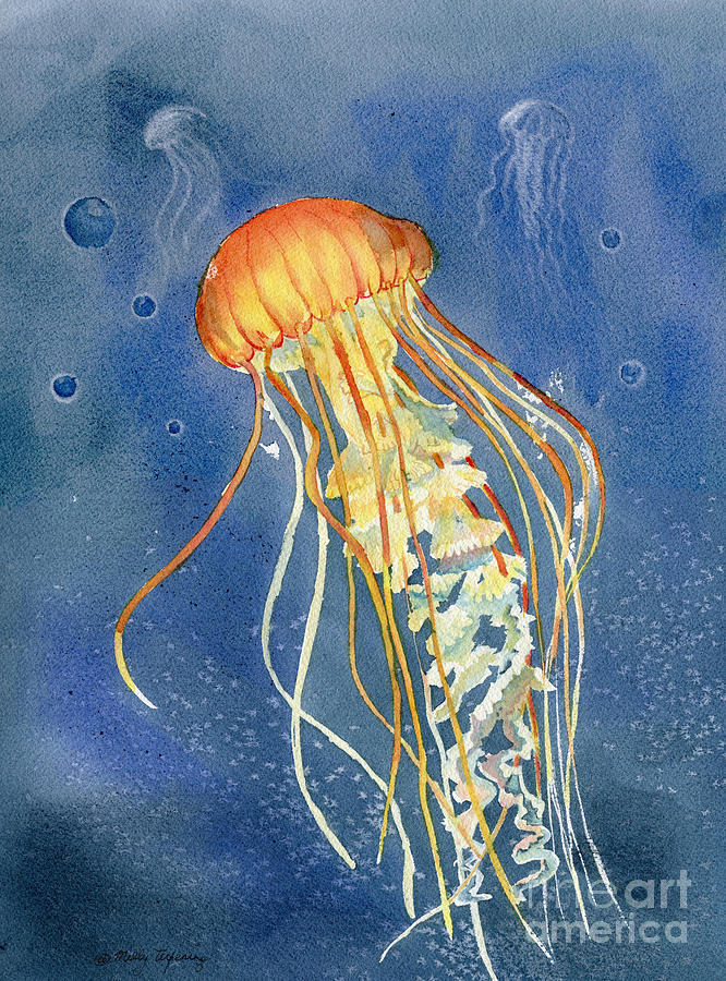 Animal Painting - Jellyfish by Melly Terpening