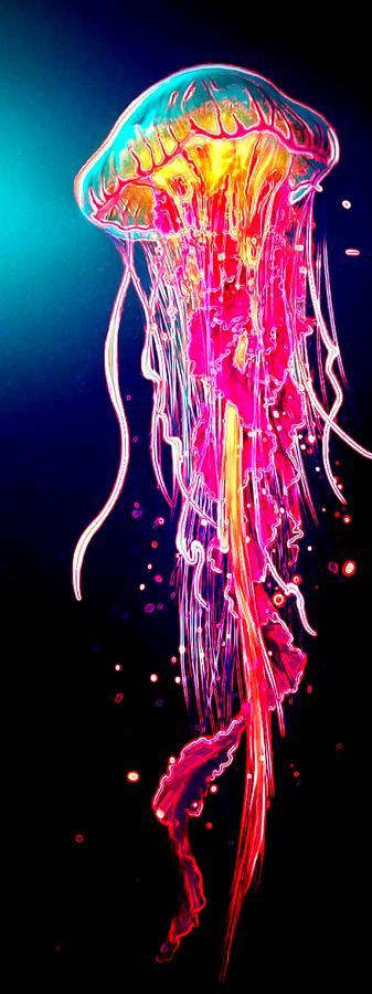 Jellyfish Digital Art by Michael Todd - Fine Art America