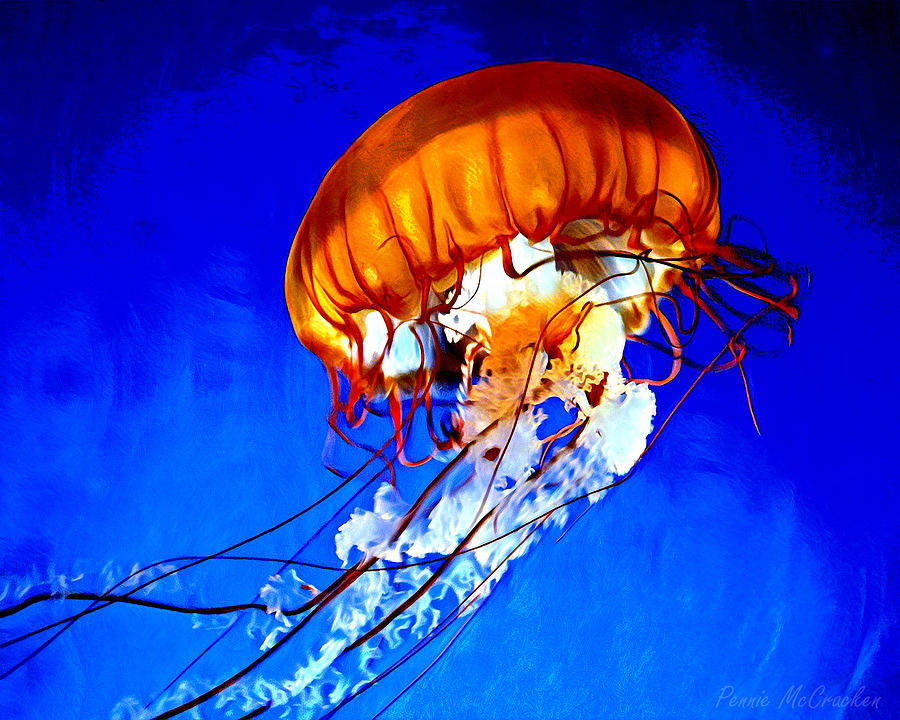 Jellyfish Digital Art by Pennie McCracken