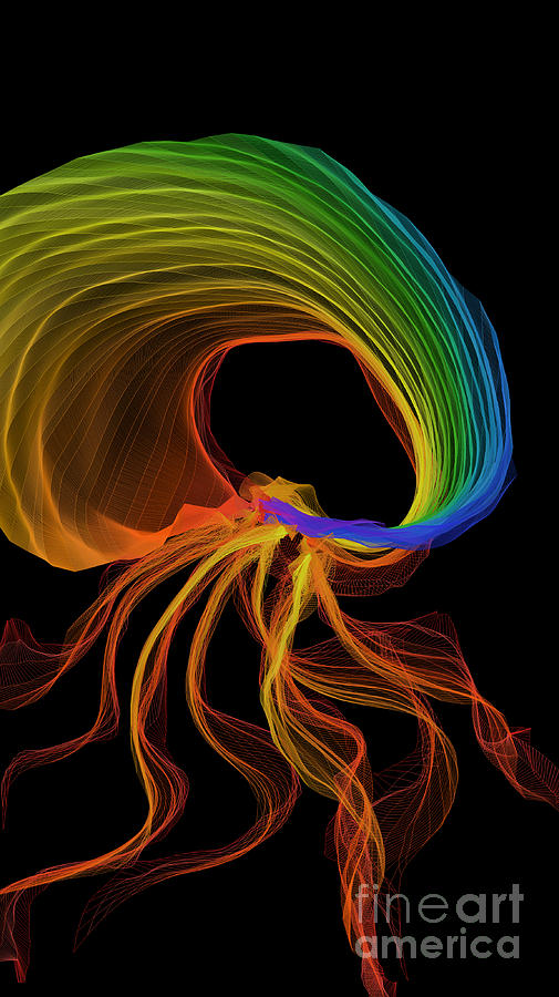 Jellyfish Prototype Digital Art