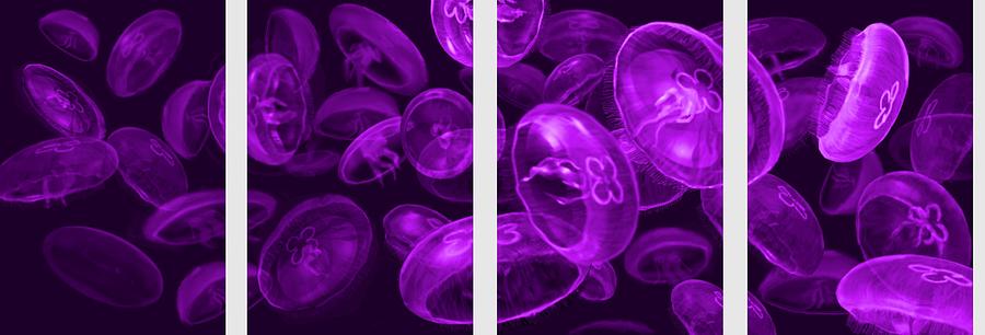Jellyfish Purple Digital Art by Stephen Jorgensen
