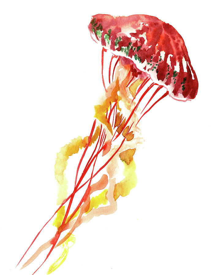 Jellyfish red burgundy Painting by Suren Nersisyan