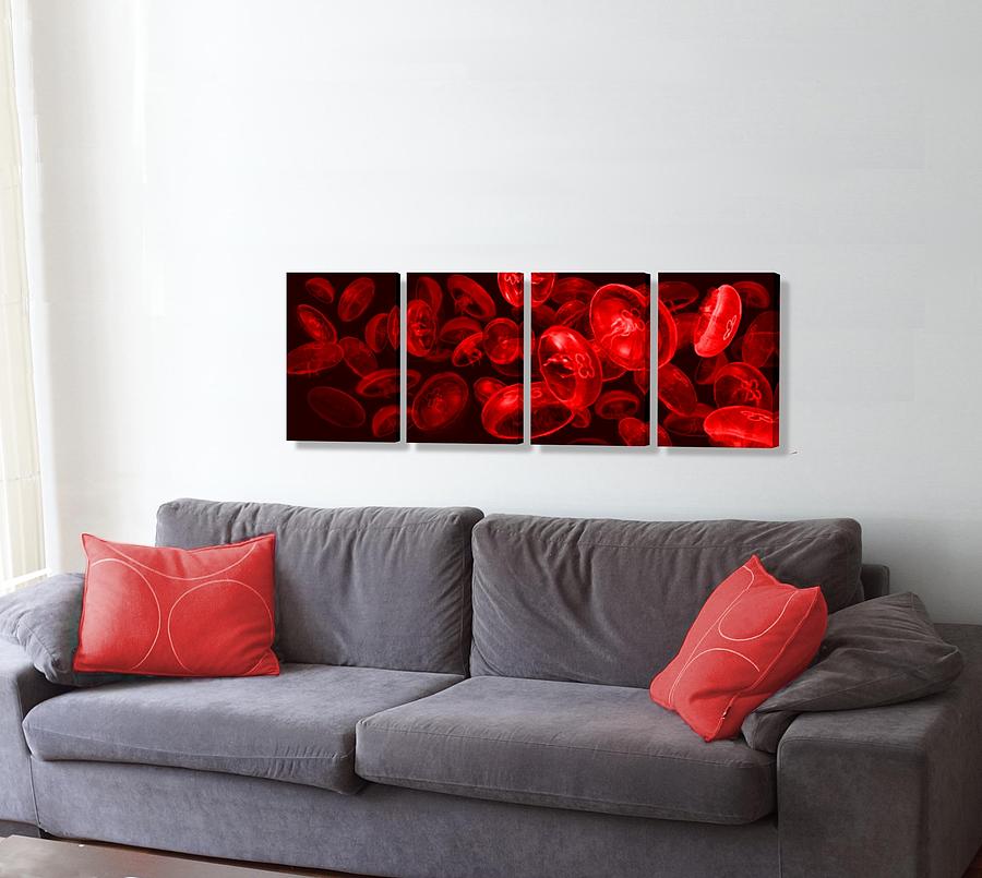 Jellyfish Red on the wall Digital Art by Stephen Jorgensen