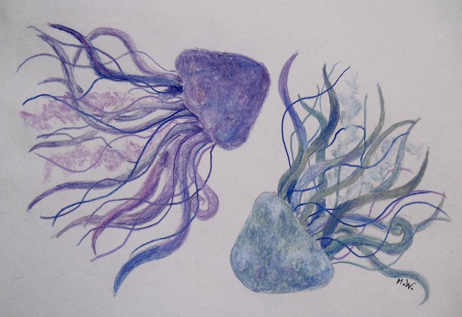 Jellyfish study Drawing by Megan Walsh