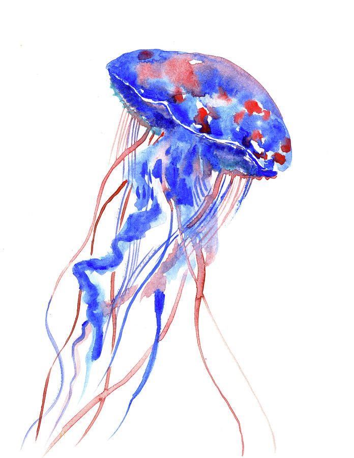 Beach Painting - Jellyfish by Suren Nersisyan