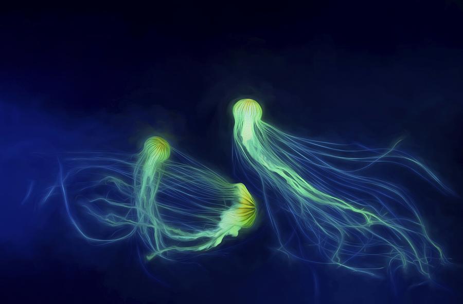 Jellyfish Tango Photograph by Steven Richardson