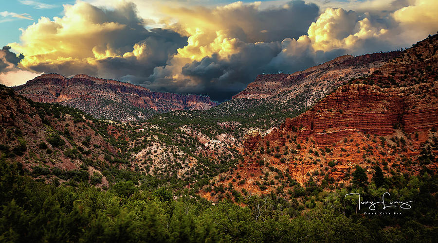 Jemez Mountain Photograph by Tony Lopez