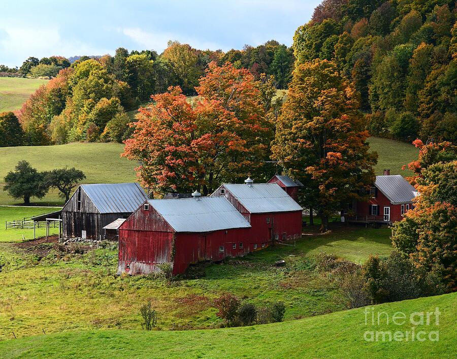 Jenne Farm in Autumn Photograph by Steve Brown
