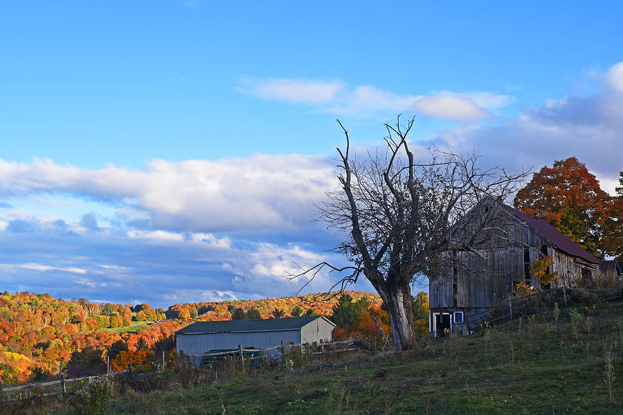 Jenne Farm Reading Vermont VT Shack Photograph by Toby McGuire