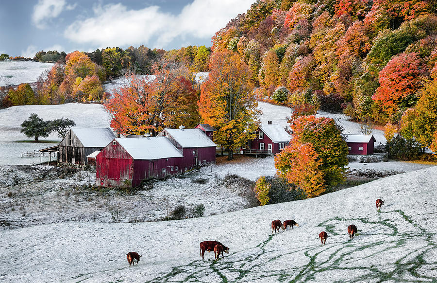 Jenne Farm, Reading, Vt Photograph by Betty Denise