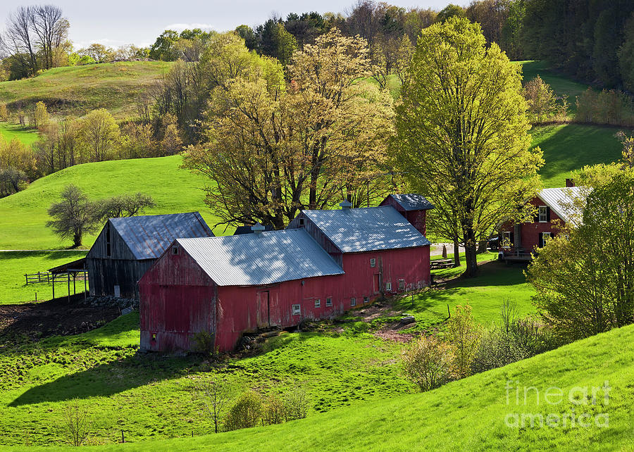 Jenne Farm Spring Afternoon Photograph by Alan L Graham