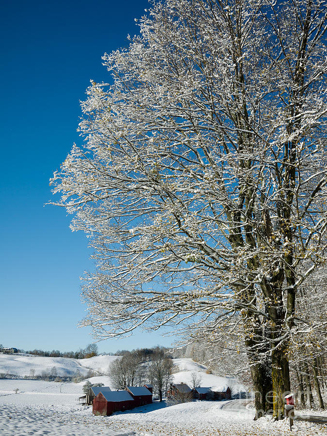 Jenne Farm Winter in Vermont Photograph by Edward Fielding