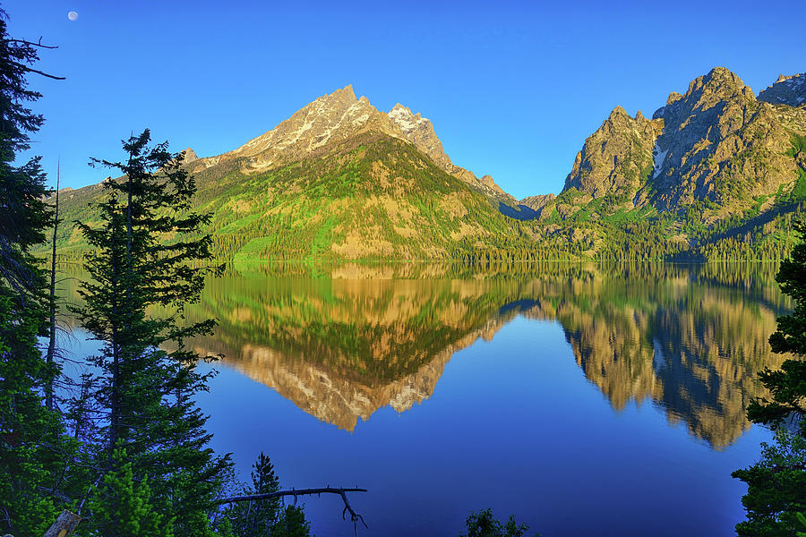 Jenny Lake Morning Reflections Photograph by Greg Norrell