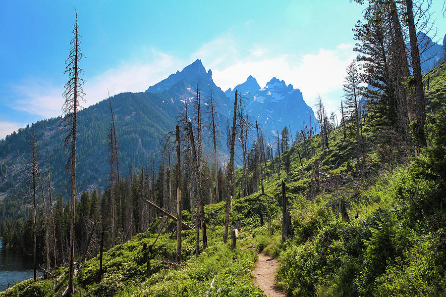 Jenny Lake Trail by David Lyle Jenny Lake Trail by David Lyle