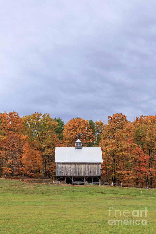 Jericho Hill Vermont Barn Photograph by Edward Fielding