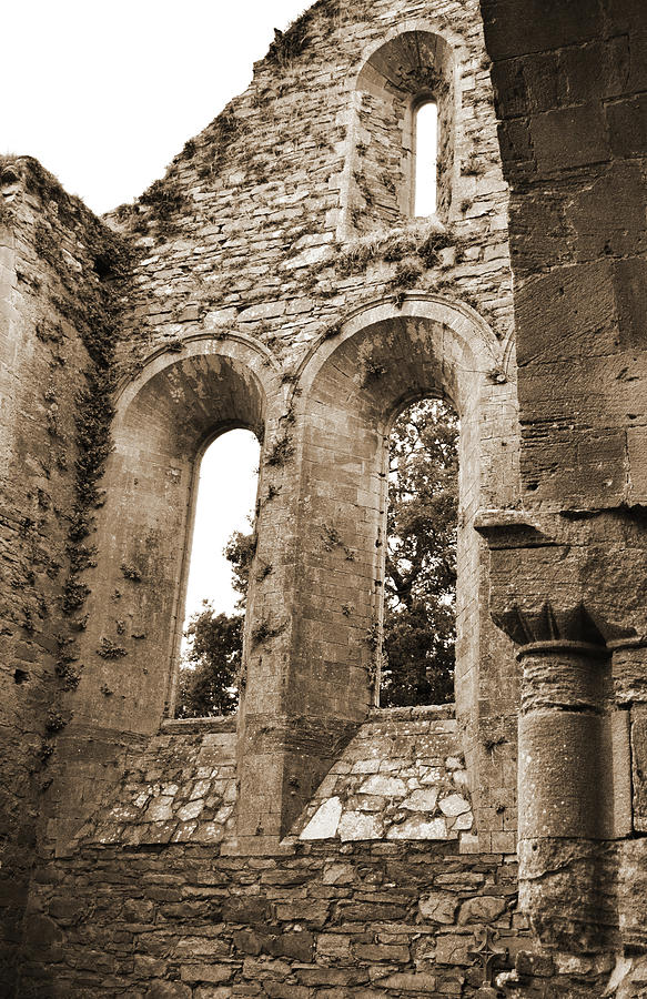 Jerpoint Abbey Gothic and Romanesque Architectural Details County Kilkenny Ireland Sepia Photograph by Shawn OBrien