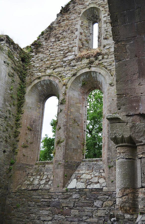 Jerpoint Abbey Gothic and Romanesque Architectural Details County Kilkenny Ireland Photograph by Shawn OBrien