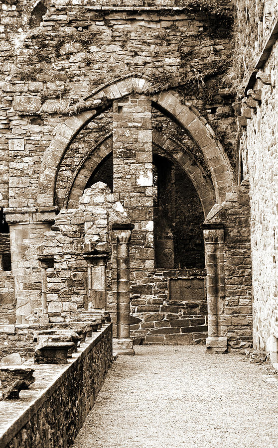 Jerpoint Abbey Ireland Stone Arches and Columns County Kilkenny Sepia Photograph by Shawn OBrien Jerpoint Abbey Ireland Stone Arches and Columns County Kilkenny Sepia Photograph by Shawn OBrien