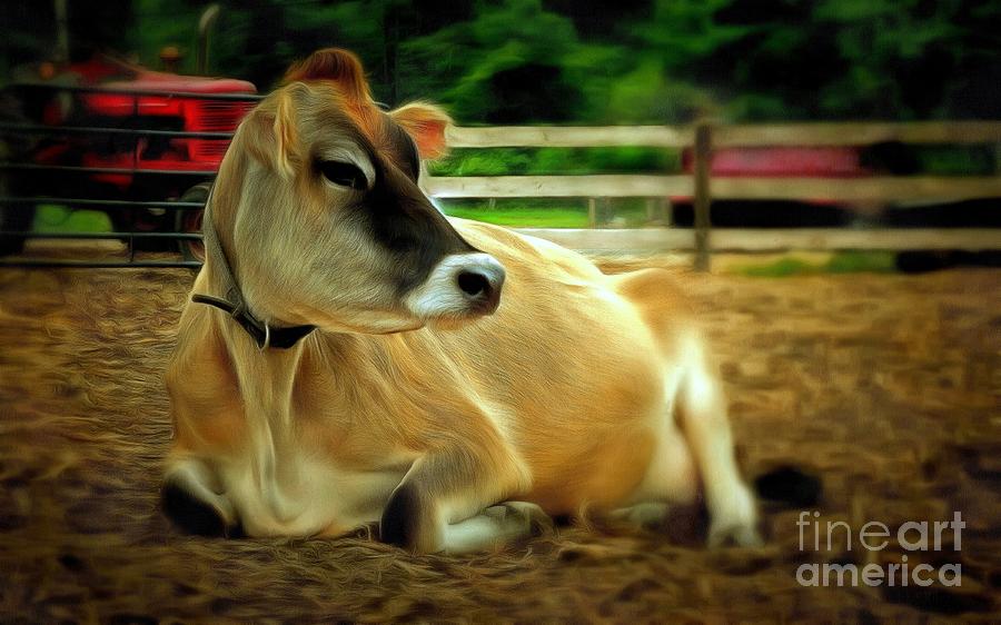 Jersey Cow - Chillaxin on the Farm Photograph by Janine Riley