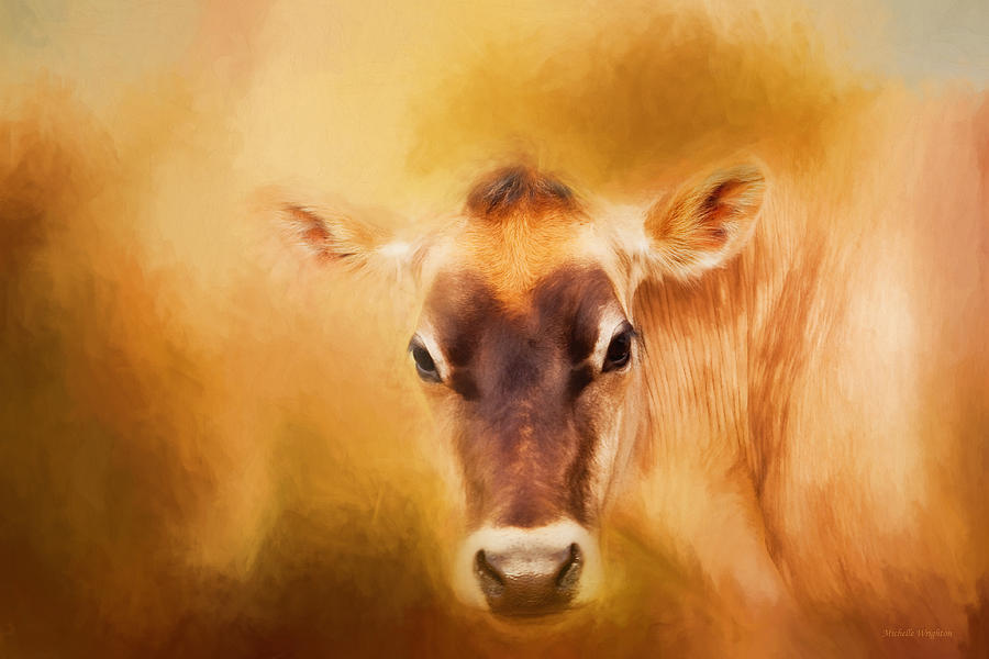 Cow Photograph - Jersey Cow Farm Art by Michelle Wrighton