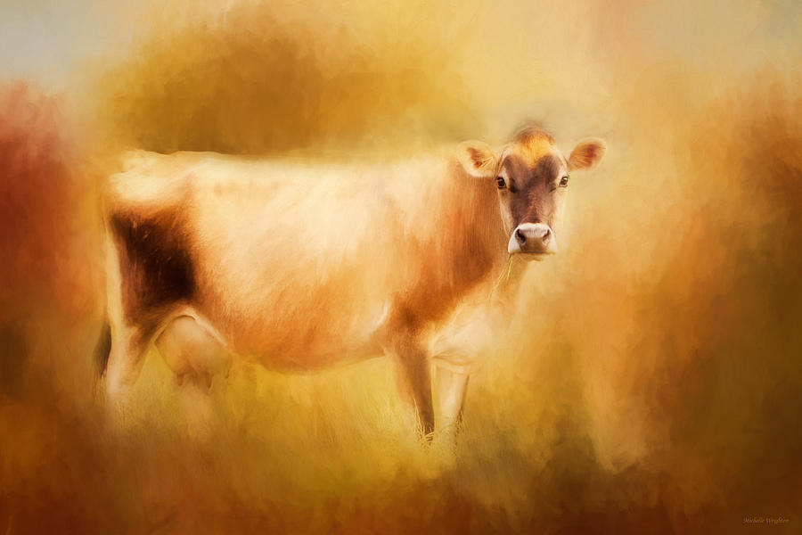 Cow Photograph - Jersey Cow  by Michelle Wrighton
