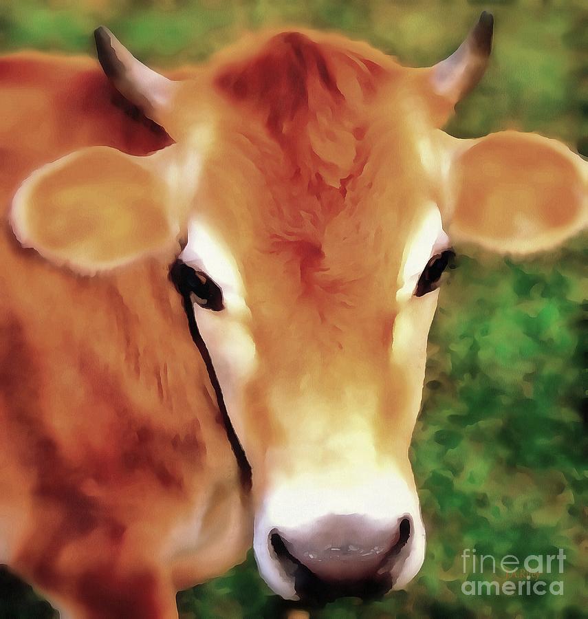 Jersey Girl - Jersey Cow Photograph by Janine Riley