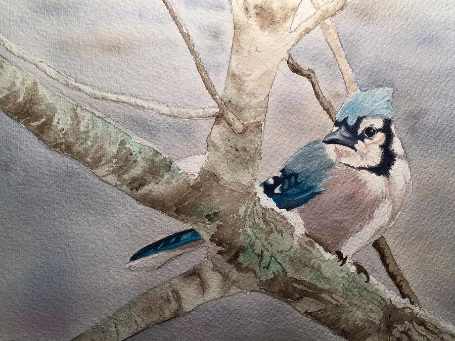 Cold Winters Jay Painting by Sonja Jones