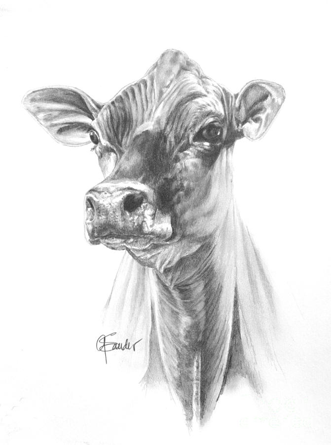 Trinity Two Jersey cow art by Jones of Jersey  Jones of Jersey
