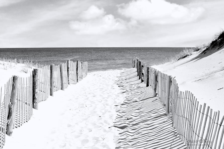 Jersey Shore Beach Black and White Photograph by Jessica Cirz