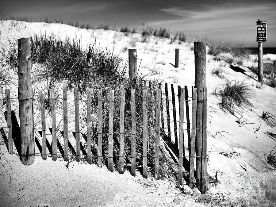 Jersey Shore Dune Fence at Seaside Park Photograph by John Rizzuto ...