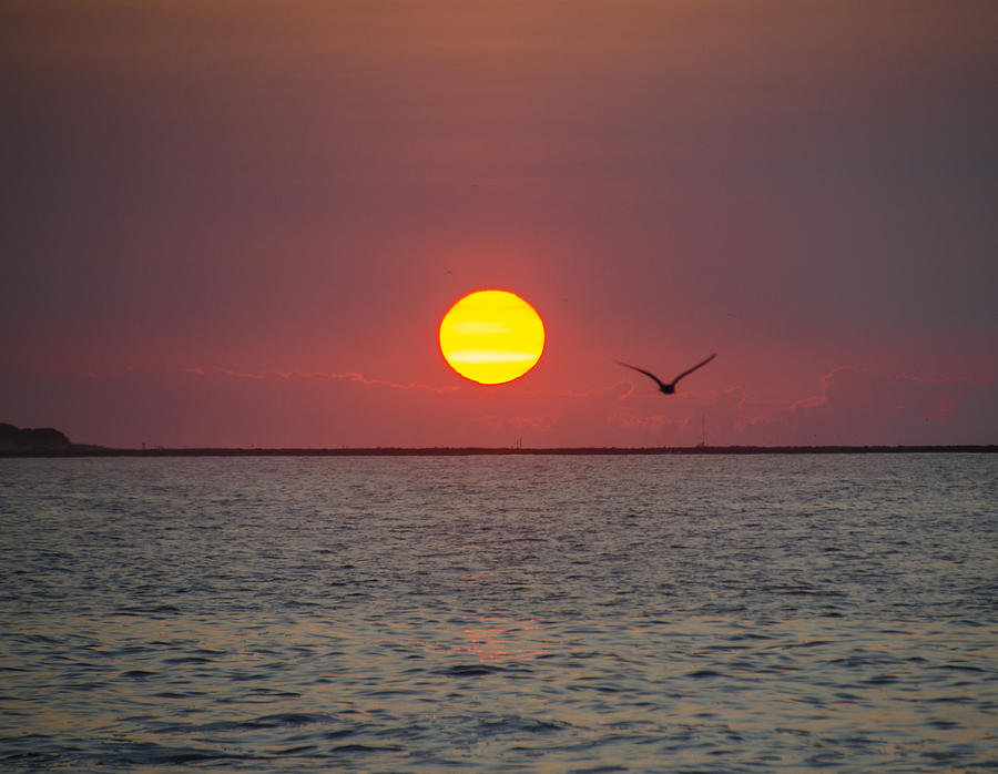 Jersey Sunrise Photograph by Bill Cannon - Pixels