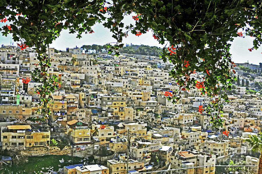 Jerusalem 2 Photograph by Lydia Holly