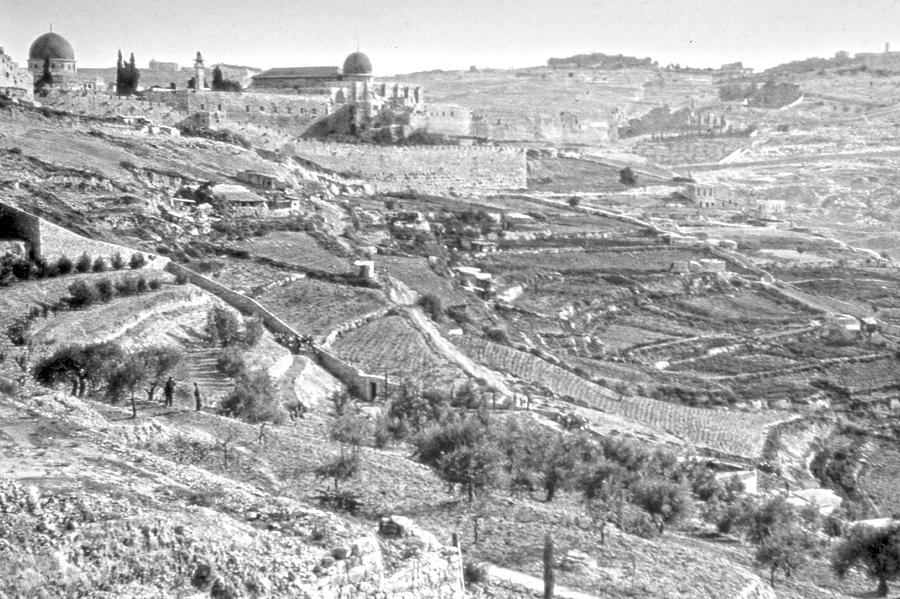 Jerusalem City 1950 Photograph by Munir Alawi