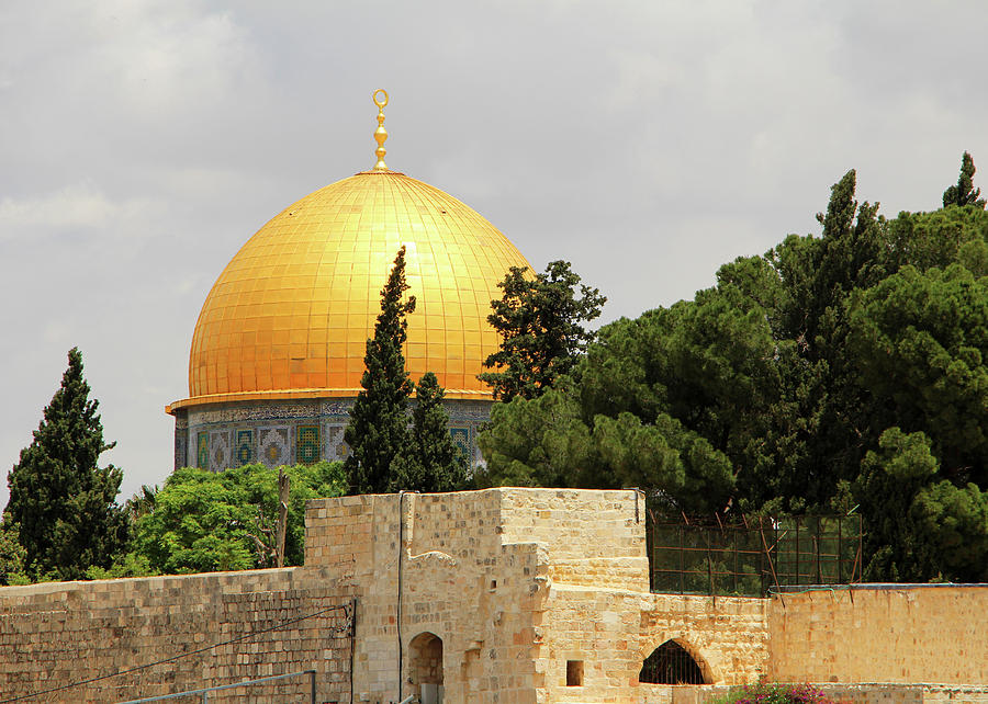 Jerusalem Dome and Trees Photograph by Munir Alawi