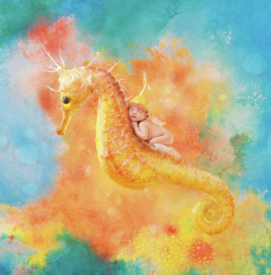 Seahorse Photograph - Jessabella riding a Seahorse by Anne Geddes