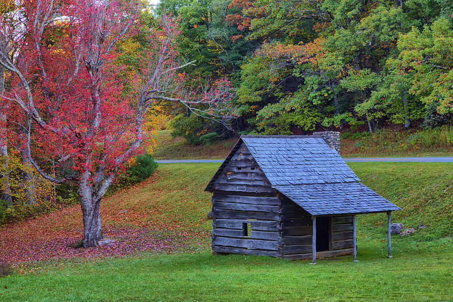 Jesse Brown Cabin Photograph by Claudia Domenig - Fine Art America