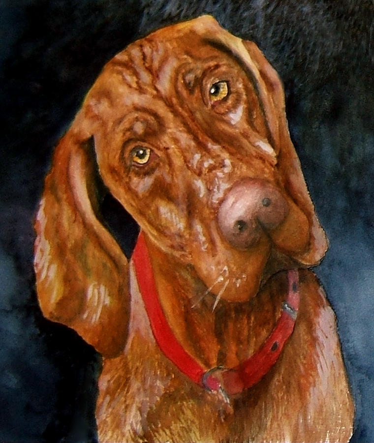 Jesse the Vizsla Print by JoLyn Holladay - Fine Art America