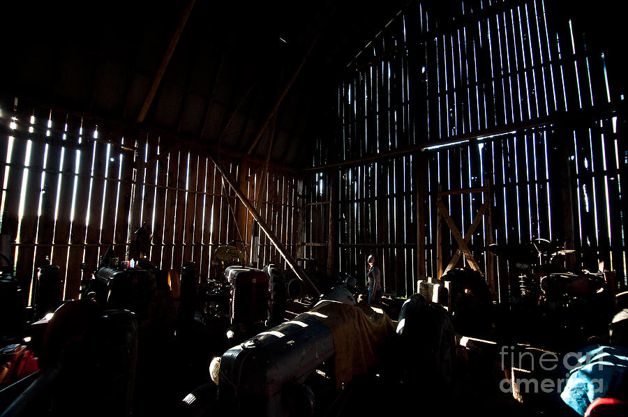 Jesses in the Barn Photograph by Steven Dunn
