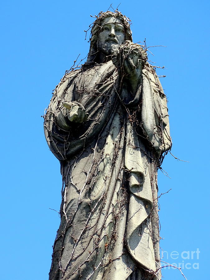 Jesus And Vines Photograph by Ed Weidman