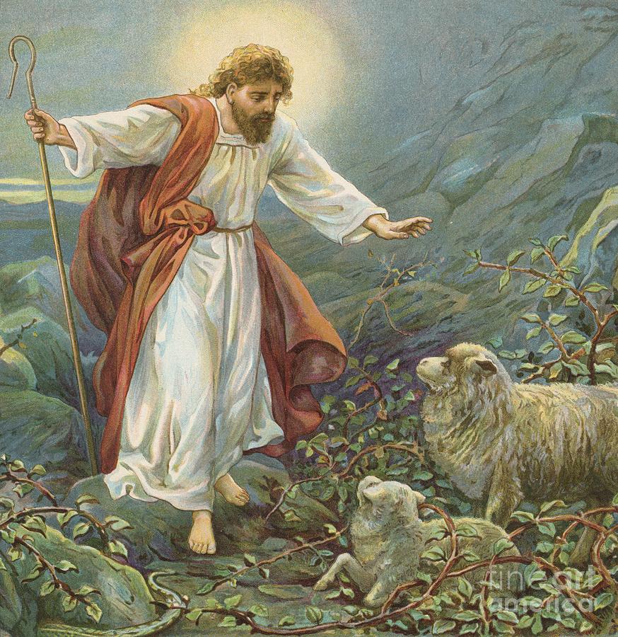 Jesus Christ The Tender Shepherd Painting by Ambrose Dudley - Fine Art  America
