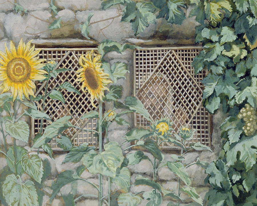 Jesus Looking through a Lattice with Sunflowers Painting by Tissot