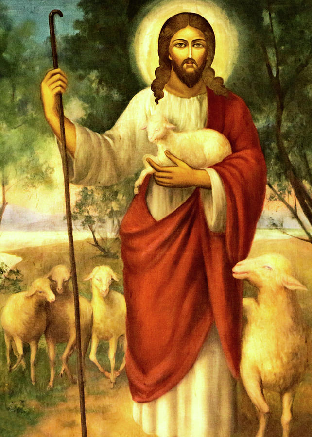 Jesus the Shepherd Photograph by Munir Alawi - Fine Art America