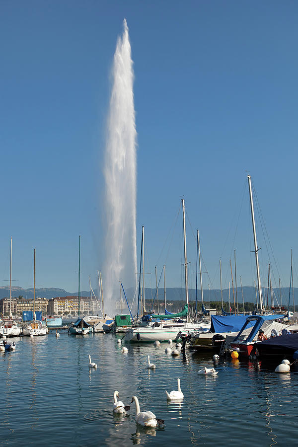 Jet Deau In Lake Geneva Photograph